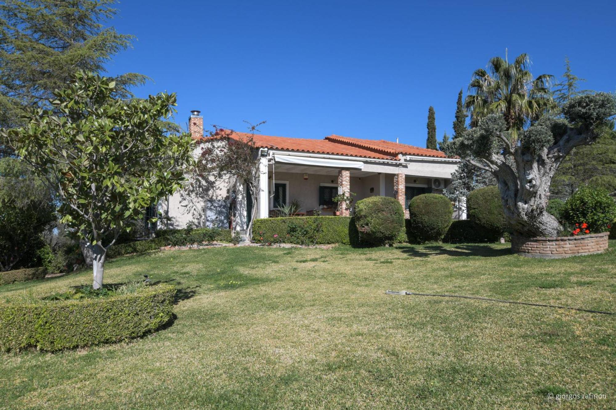 Nerotrivia Villa - Ocean Panorama And Lush Gardens 외부 사진